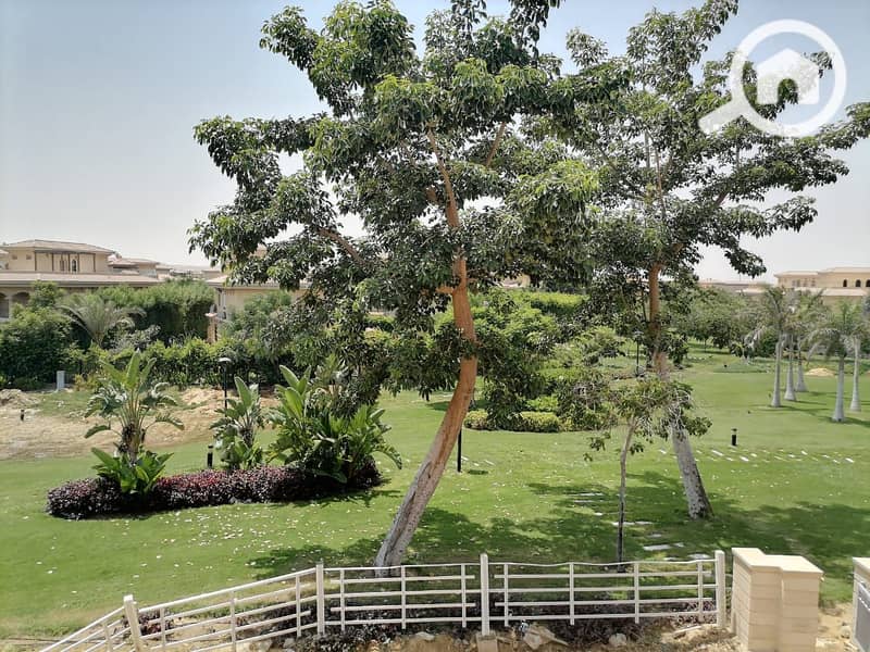 10 48c9a9f9-9e28-4d10-b366-fed7de7ed67f. jpg