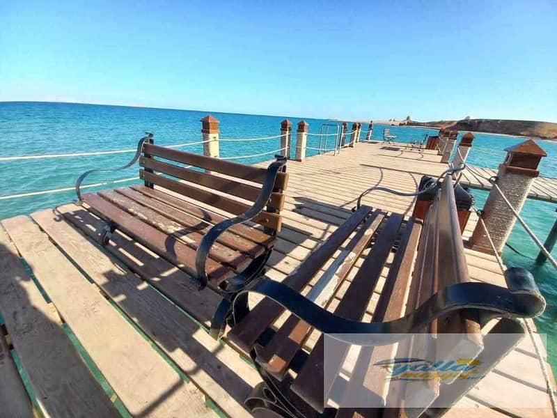 12 68e97c7f8f6d4_uploads68e97c7f8f574. jpeg