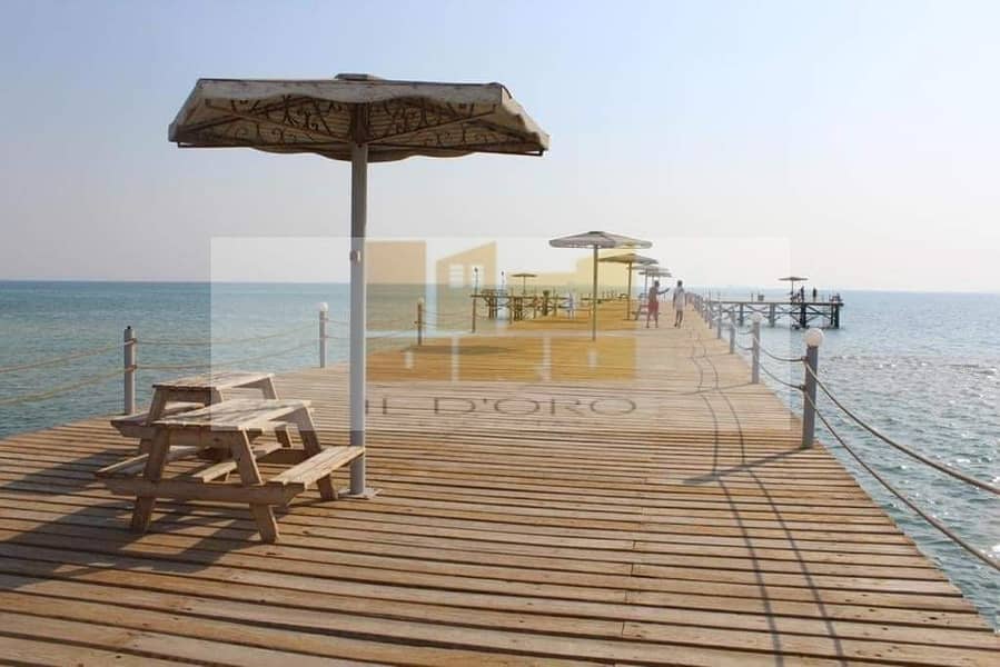 16 WhatsApp Image 2025-10-29 at 13.26. 11_2db9b7e4. jpg