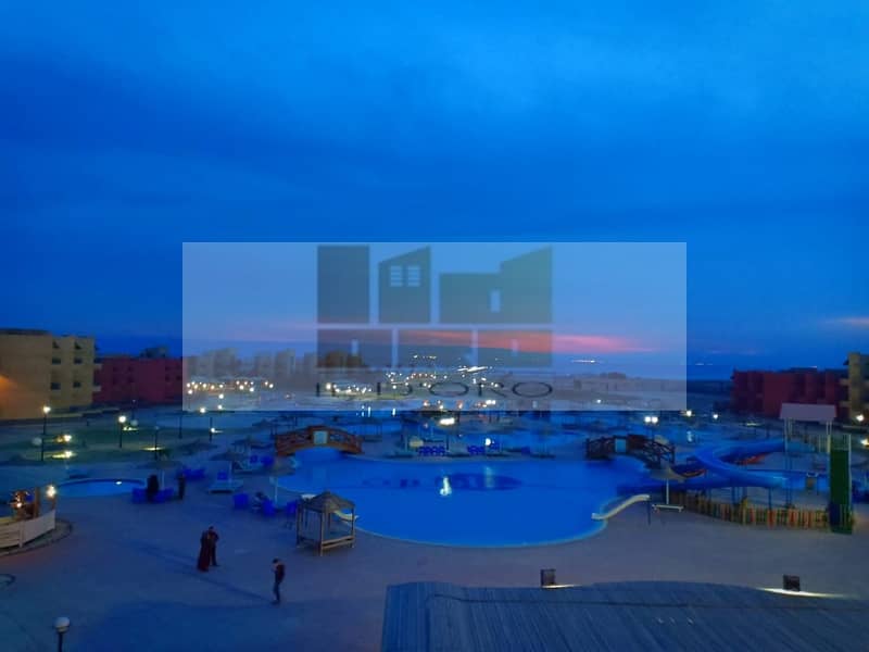 33 WhatsApp Image 2025-10-29 at 13.26. 13_ecd8b919. jpg