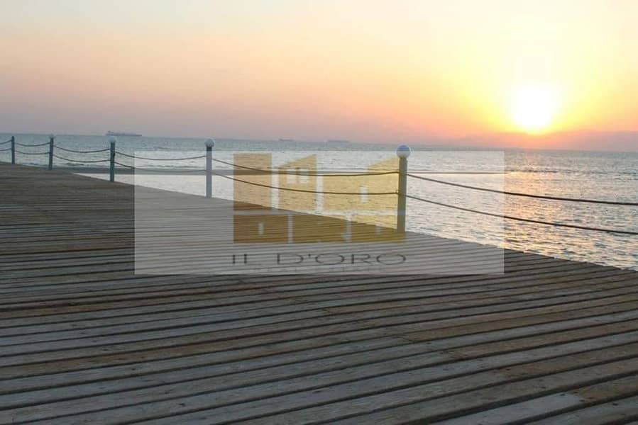 24 WhatsApp Image 2025-10-29 at 13.26. 12_c3a1ed49. jpg