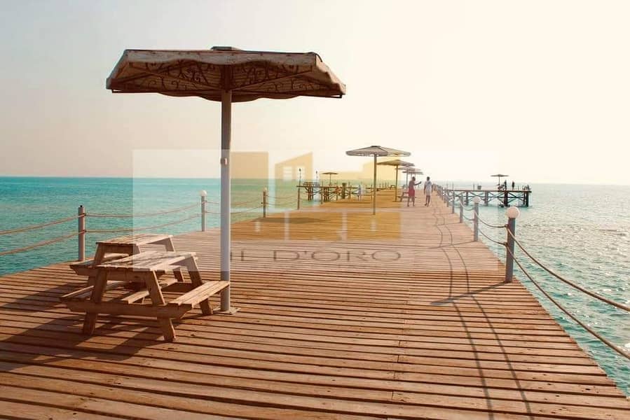 29 WhatsApp Image 2025-10-29 at 13.26. 13_401ec02c. jpg