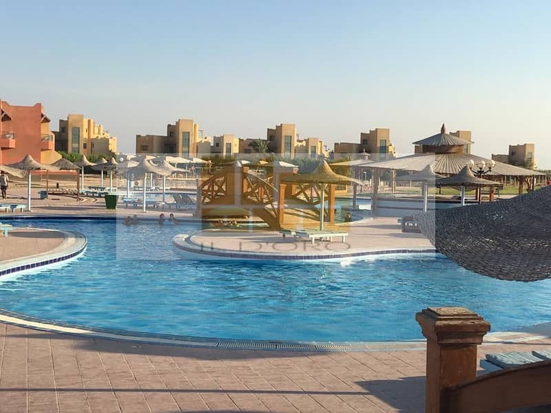 35 WhatsApp Image 2025-10-29 at 13.26. 14_7dab1ae2. jpg