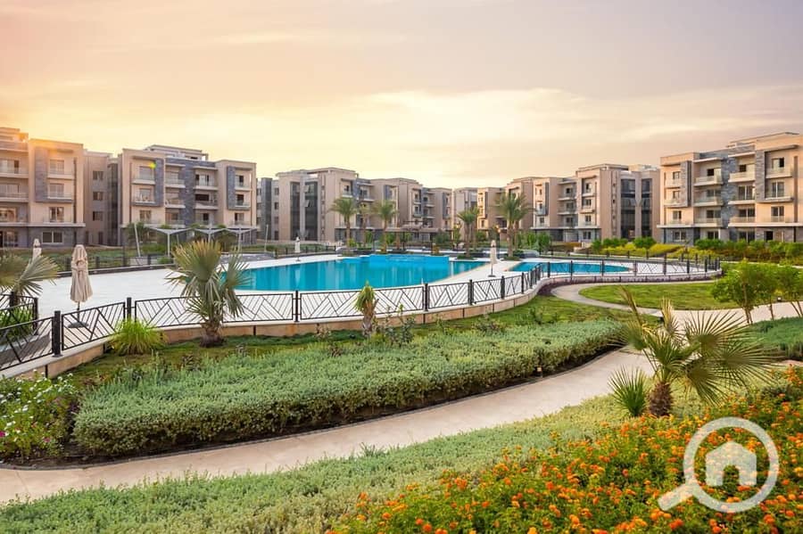 5 IMG-20220706-WA0016 - Copy - Copy (2) - Copy. jpg