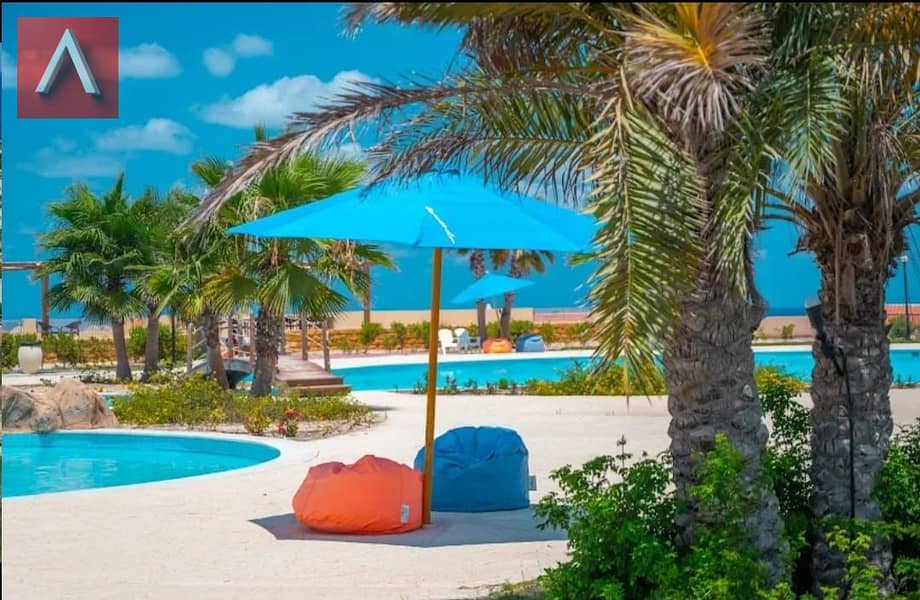 3 WhatsApp Image 2025-10-29 at 3.45. 18 PM (4). jpeg