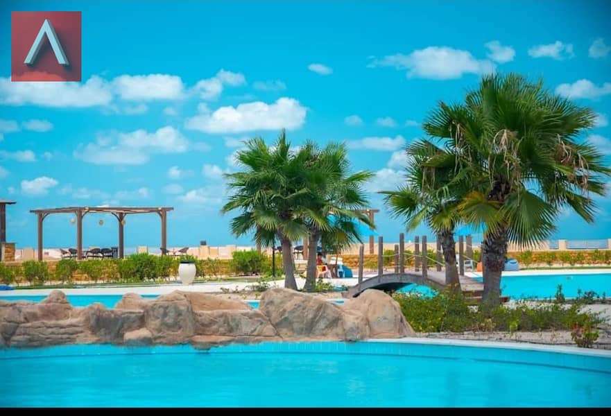 4 WhatsApp Image 2025-10-29 at 3.45. 18 PM (5). jpeg