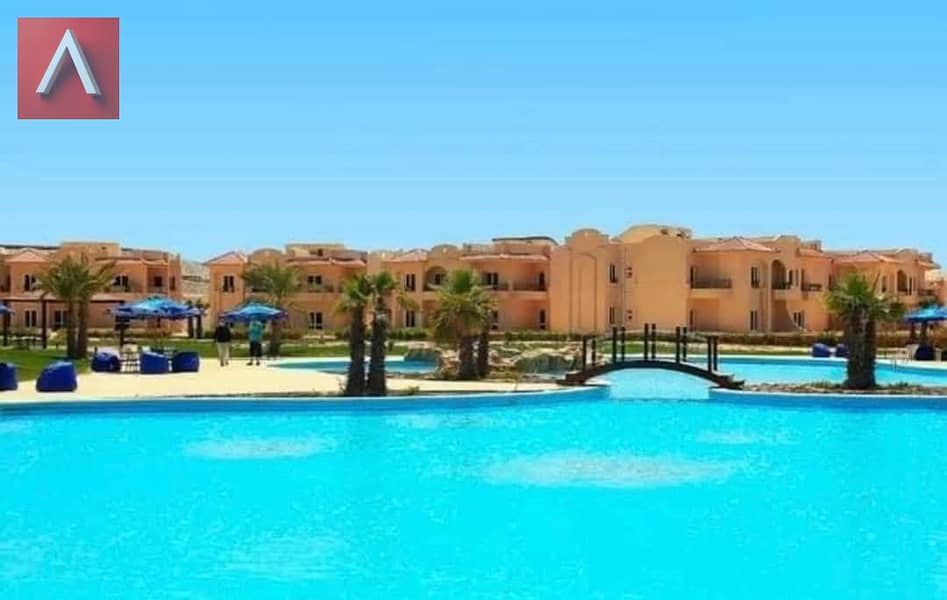 17 WhatsApp Image 2025-10-29 at 3.45. 19 PM. jpeg