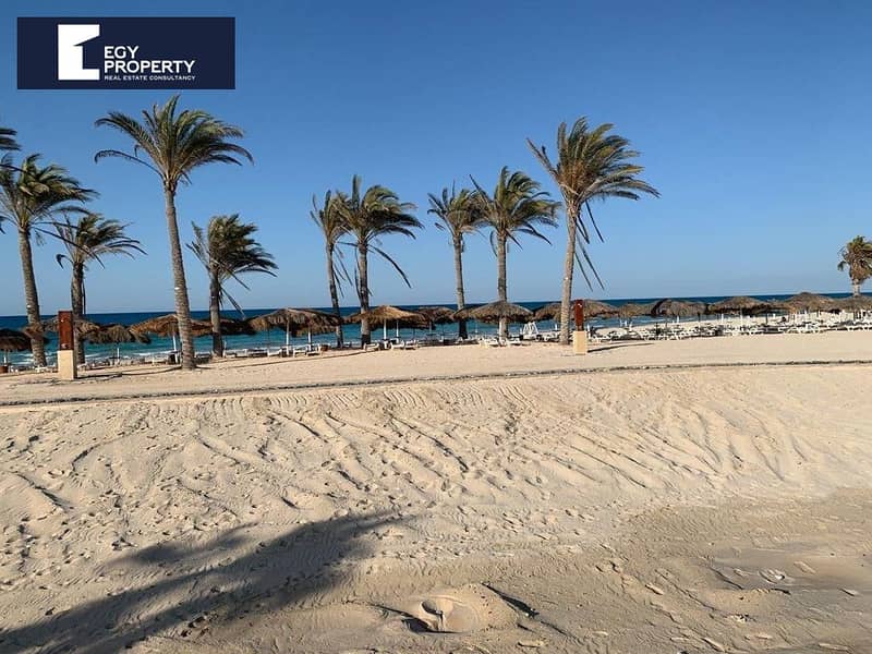 8 _files_16cfee2f-0ab8-4d55-b929-b280fe3d9fde. jpeg