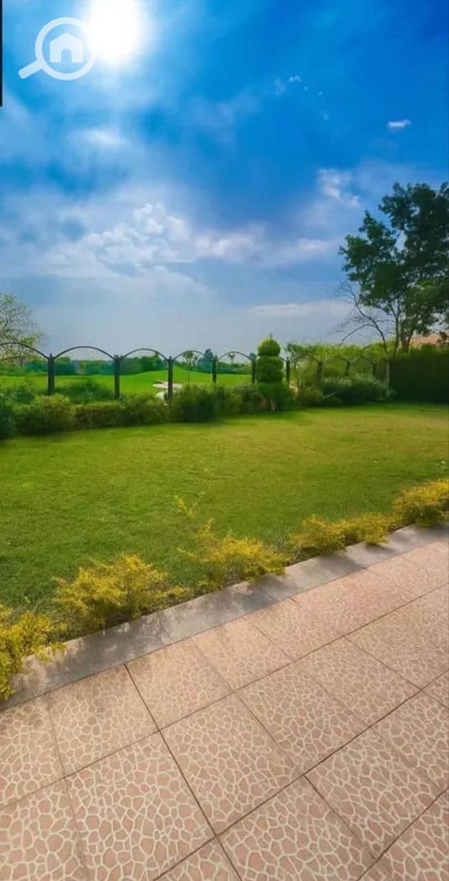 6 5767122604803165225. jpg