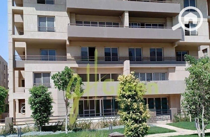 8 81973153_147026910068861_8538845157150162944_n. jpg