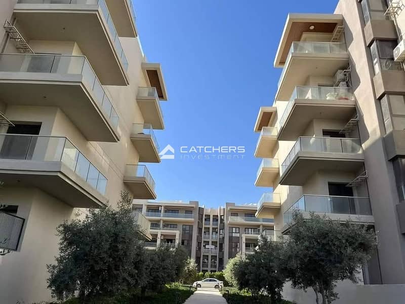 3 540626785_1347415747389364_2236980978566528150_n. jpg