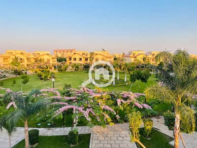 3 Bedroom Townhouse for Sale in Madinaty, Cairo - WhatsApp Image 2025-10-29 at 1.24. 35 PM. jpeg