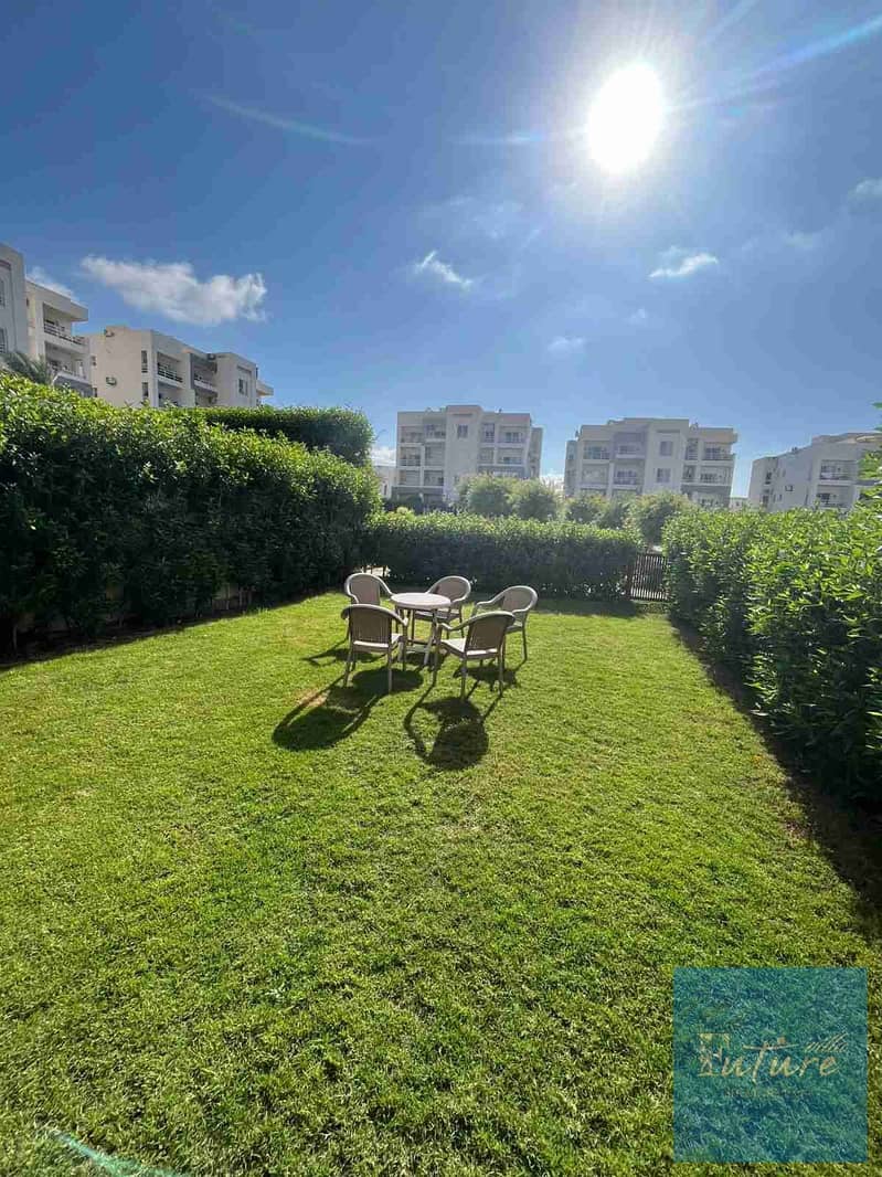 1000006520. jpg 1000006520. jpg