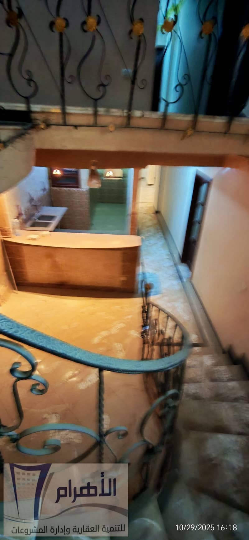 7 573554549_1129807755964091_1140358326813476962_n. jpg