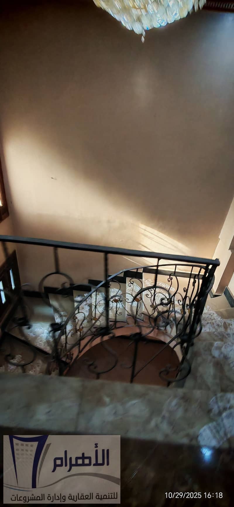 12 571412374_1129806485964218_4286978949945247863_n. jpg