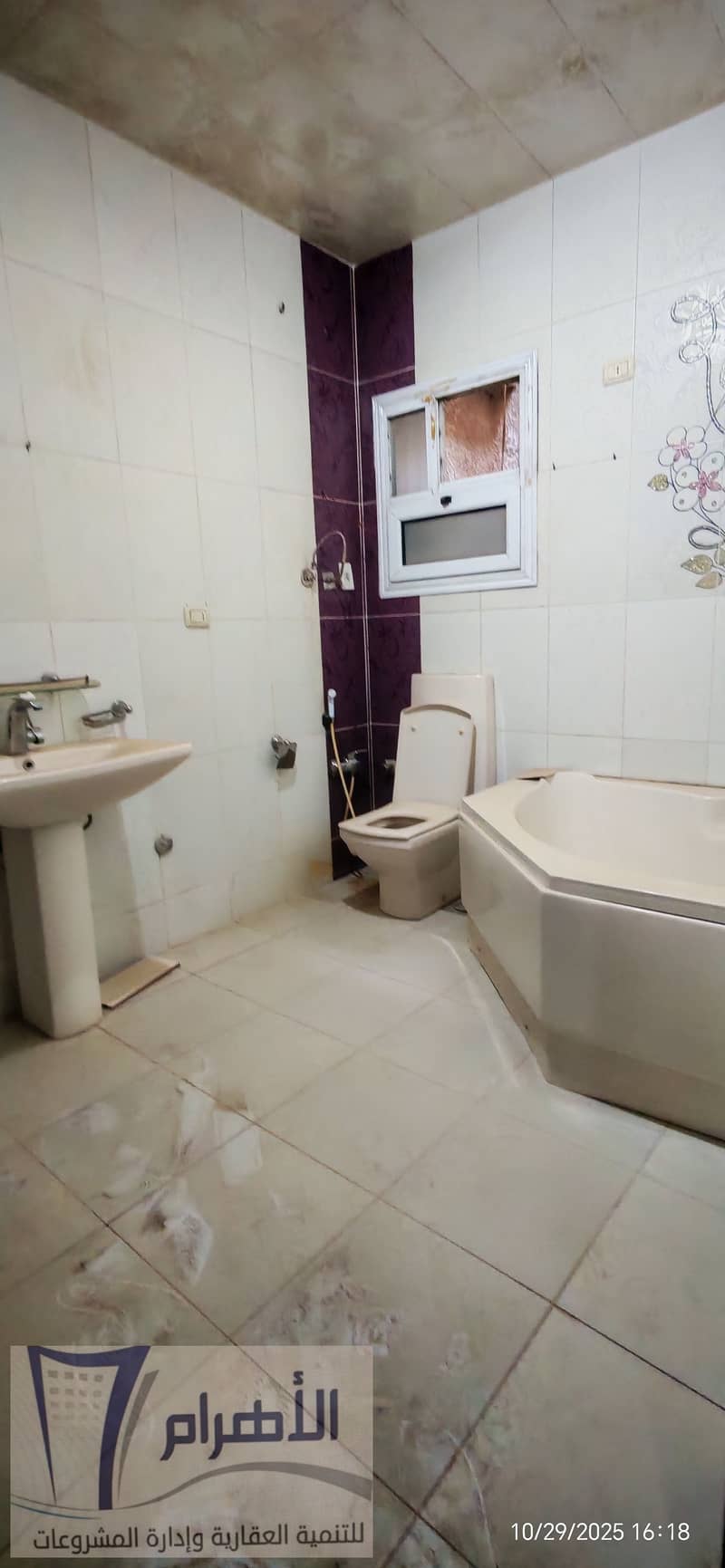 14 571186016_1129806809297519_9008719930529967628_n. jpg