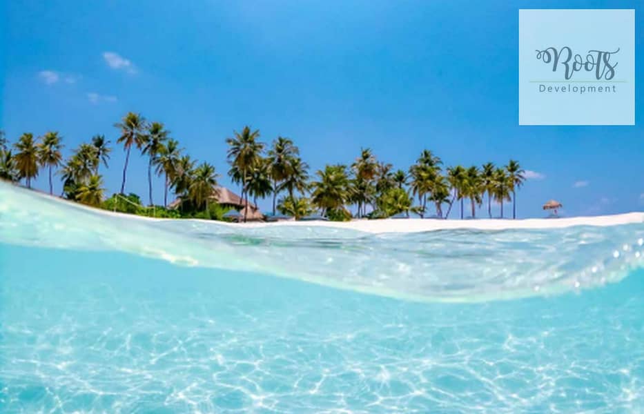 20 WhatsApp Image 2025-10-27 at 4.36. 01 PM. jpeg