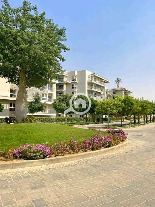 5 126c1d69-efa5-4305-b1c6-af5d8b91d09b. jpg