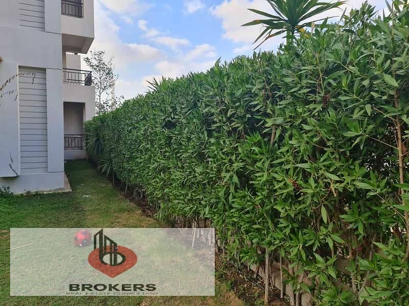 5 IMG-20251029-WA0407. jpg