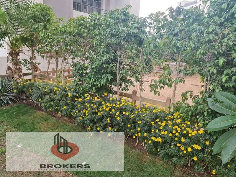 13 IMG-20251029-WA0538. jpg