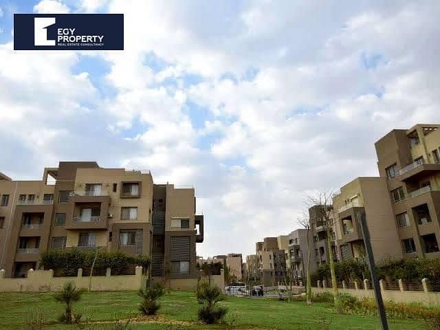 4 94e328dc-4860-47c9-acb0-7a1c9bfbf465. jpg