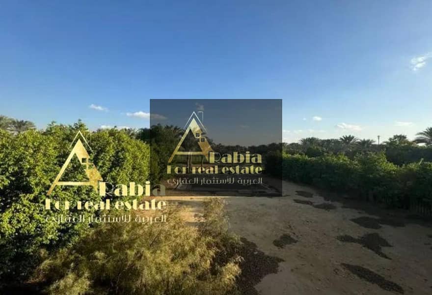 5 1bbedc3f-0317-40b0-816a-99d6d45aa7ca. jpg