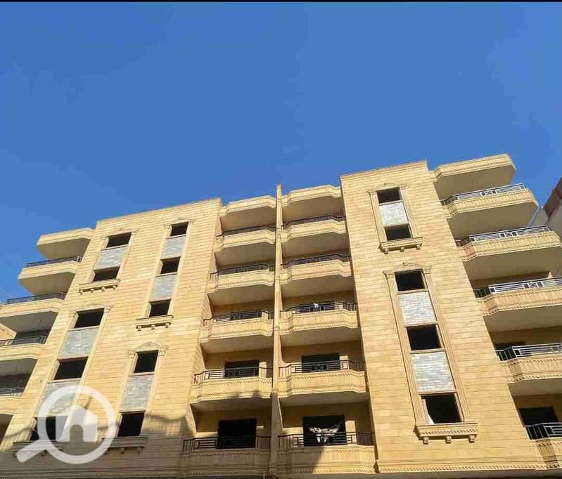 1000233804. jpg 1000233804. jpg