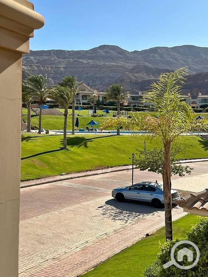 7 462194957_892144369534938_8771753746049724131_n. jpg