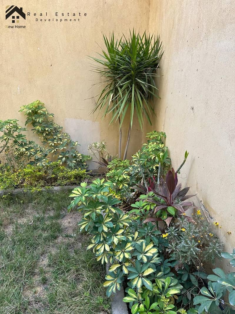 57 IMG-20250810-WA0017. jpg