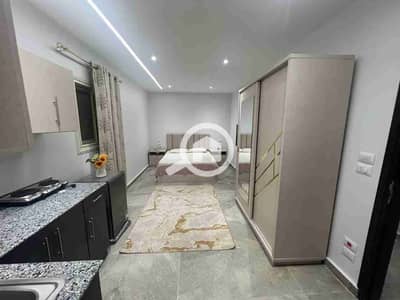 9 Bedroom Hotel Apartment for Rent in New Cairo, Cairo - 1000179566. jpg