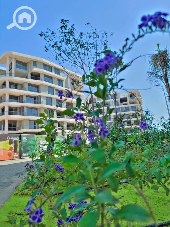 4 ارمونيا6. jpg