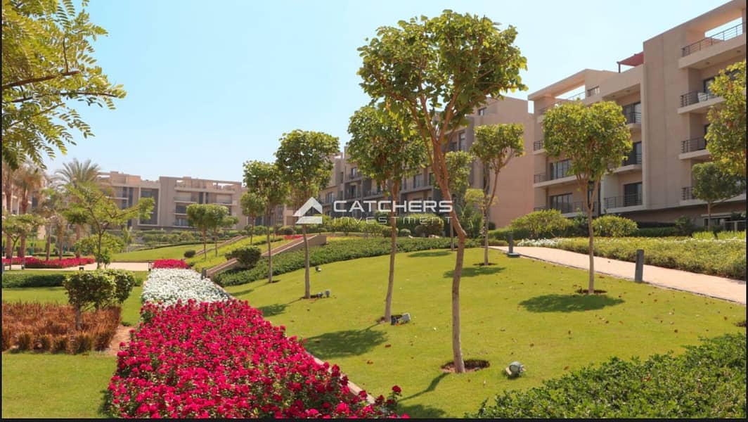 5 IMG-20251029-WA0042. jpg