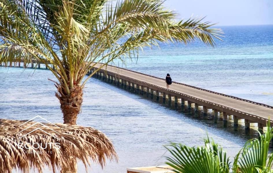 8 WhatsApp Image 2025-09-25 at 21.52. 51_cd1b20af. jpg