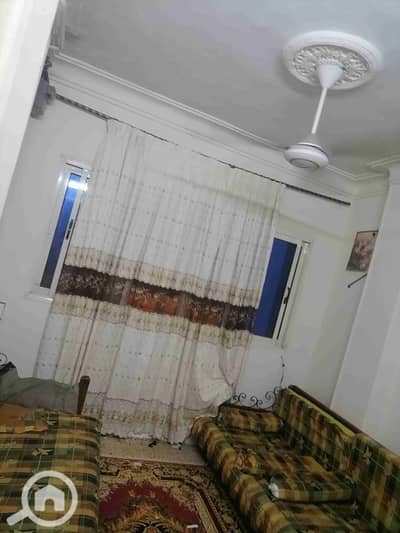 1 Bedroom Flat for Rent in Maadi, Cairo - IMG_20251027_201058. jpg