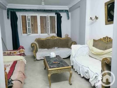 1 Bedroom Apartment for Rent in Maadi, Cairo - IMG_20251025_173128. jpg