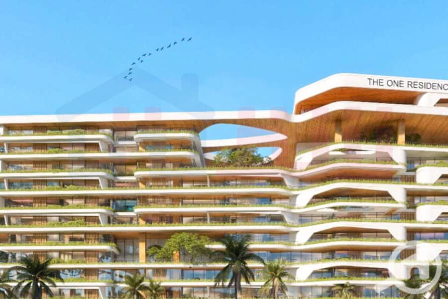 3 WhatsApp Image 2024-11-20 at 8.29. 36 PM (2). jpg