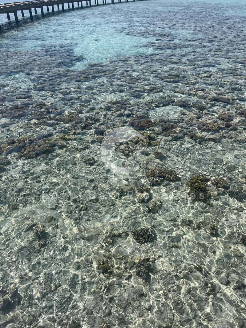 2 IMG-20250914-WA1091. jpg