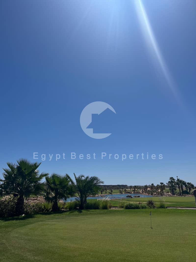 3 IMG-20250914-WA1053. jpg