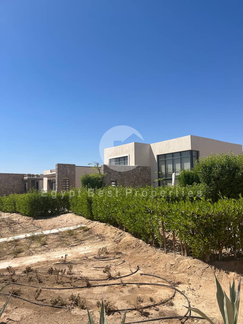 4 IMG-20250914-WA1057. jpg