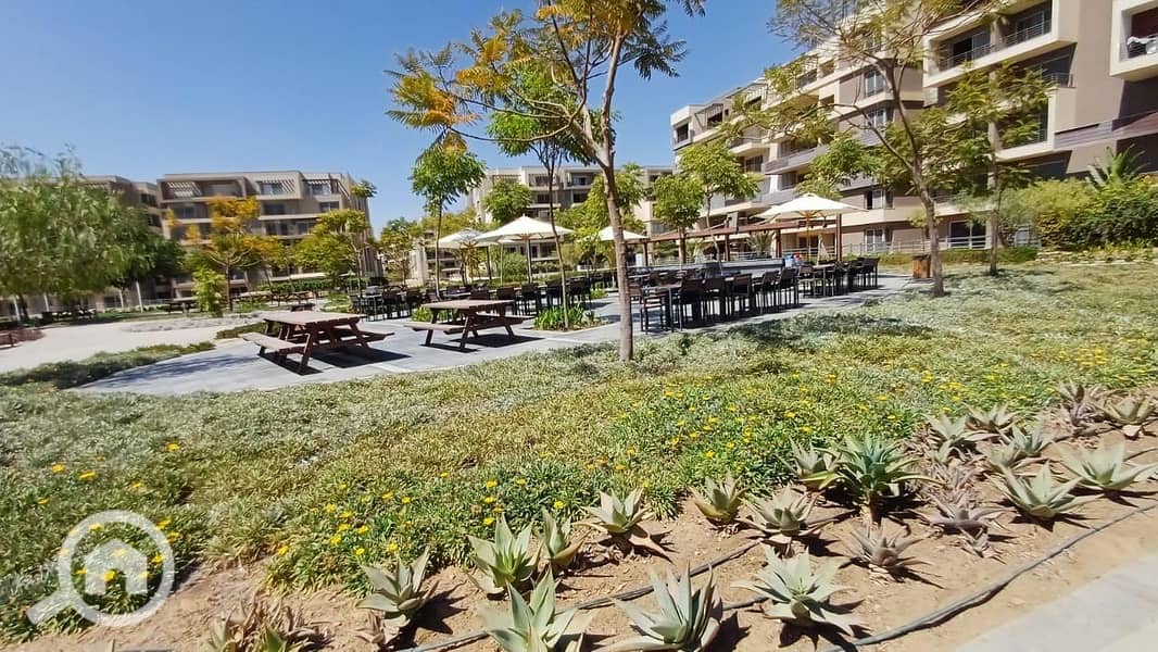 10 dfe8dbb5-f3de-4861-9d23-c248a7150a62. jpg