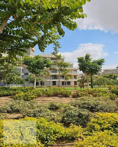 3 Bedroom Apartment for Sale in New Cairo, Cairo - WhatsApp Image 2025-06-02 at 4.26. 18 PM (1). jpeg 3 Bedroom Apartment for Sale in New Cairo, Cairo - WhatsApp Image 2025-06-02 at 4.26. 18 PM (1). jpeg