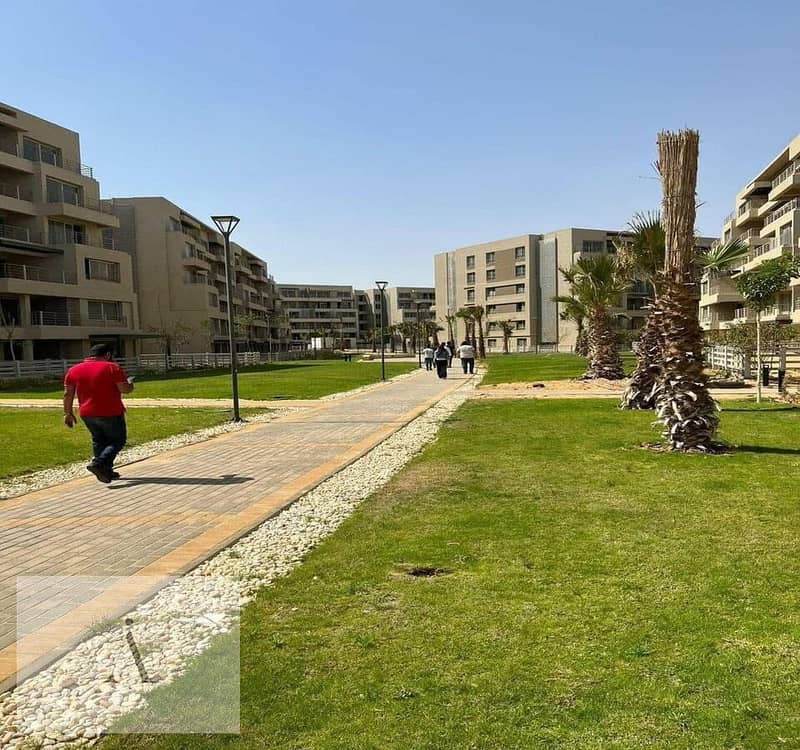 2 WhatsApp Image 2025-08-10 at 2.07. 59 PM (2). jpeg