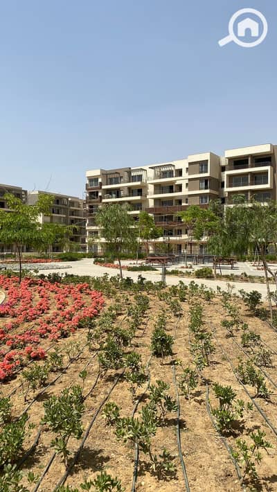 5 Bedroom Flat for Sale in New Cairo, Cairo - IMG-20240511-WA0345. jpg