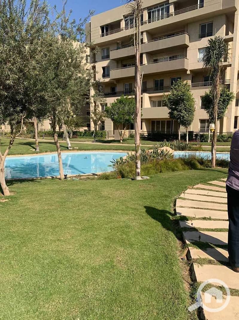 4 6ffedea2-e329-4ee5-bd6c-818bdbcef035. jpg