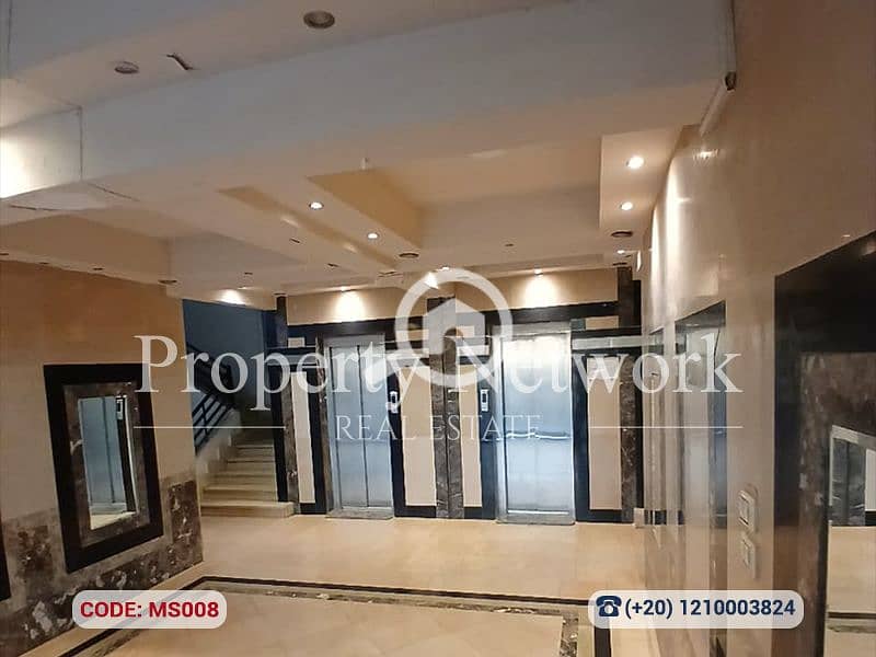 MS008 (9). png MS008 (9). png