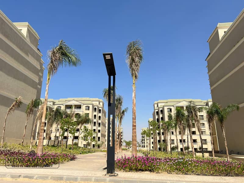 2 WhatsApp Image 2025-10-29 at 17.52. 20_51cd933e. jpg