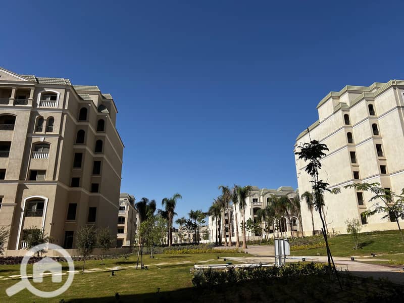 8 55cf54f5-9e0b-4188-a37f-b2e005f692d7. jpg