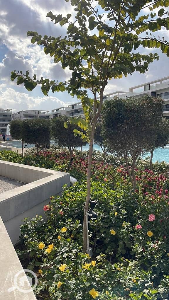 9 WhatsApp Image 2025-07-15 at 4.45. 13 PM. jpeg