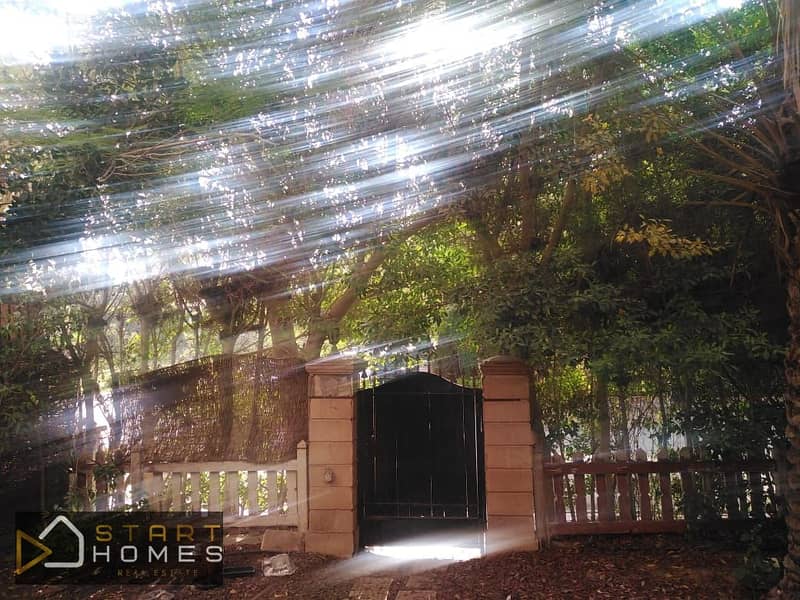 7 WhatsApp Image 2025-10-30 at 11.43. 31 AM. jpeg