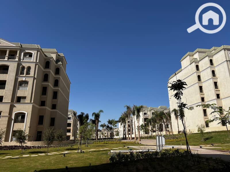 11 55cf54f5-9e0b-4188-a37f-b2e005f692d7. jpg